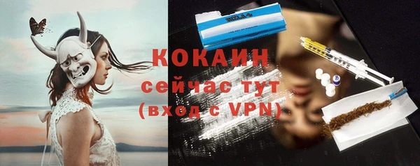 мяу мяу мука Рославль